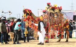 अंतरराष्ट्रीय ऊंट उत्सव शुक्रवार से, बीकानेर हैरिटेज वॉक के साथ होगी शुरुआत - image