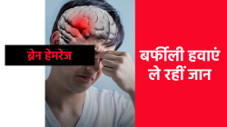 एमपी में कड़ाके की ठंड से कई मौतें, ब्रेन हेमरेज से भी दम तोड़ रहे लोग - image