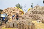 वादा अधूरा, कर्मचारियों का गुस्सा फूटा! कबीरधाम में 700 कर्मचारी हड़ताल पर, धान खरीदी बहिष्कार का ऐलान(photo-patrika)