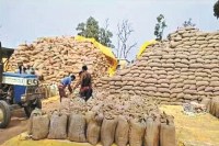 वादा अधूरा, कर्मचारियों का गुस्सा फूटा! कबीरधाम में 700 कर्मचारी हड़ताल पर, धान खरीदी बहिष्कार का ऐलान(photo-patrika)