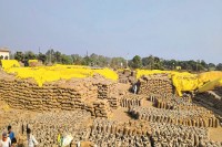 धान खरीदी केंद्रों में 50 करोड़ का घोटाला (photo source- Patrika)