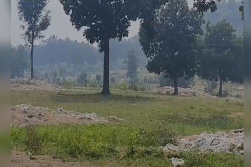 CG Land Scam: सरपंच ने सरकारी जमीन का किया बंदरबांट, तहसीलदार की जगह खुद ही फर्जी हस्ताक्षर कर बांट दिया पट्टा