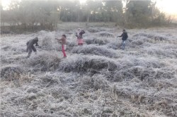 CG Weather Update: कड़ाके की ठंड का दिखा असर.. पहाड़ी क्षेत्रों में जमने लगी ओस
की बूंदें - image