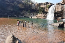 Gaurghat waterfall: पिकनिक मनाने बेहतरीन जगह है गौरघाट जलप्रपात, सप्ताहभर से
बड़ी संख्या में पहुंच रहे सैलानी, जानें कैसे पहुंचे - image