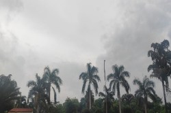 CG Weather Update: मौसम में बनी रहेगी उतार-चढाव, रात के तापमान में गिरावट, पारा
8.9 डिग्री पर पहुंचा - image