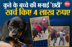 Video Viral: कुत्ते के बच्चे की मनाई ‘छठी’, खर्च किए 4 लाख रुपए, लोगों के साथ
घोडे भी नाचे - image