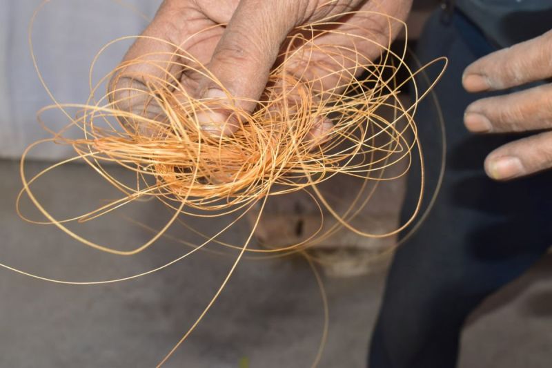 चाइनीज मांझा