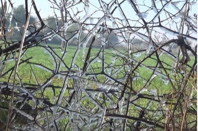 Snow in Churu fields