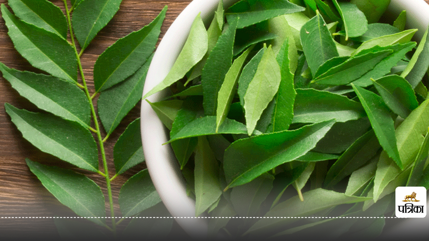 Curry Leaves Benefits : 5 कड़ी पत्ते रोज सुबह चबाने से मिल सकते हैं करामाती लाभ,
बालों के लिए है संजीवनी बूटी