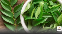 Curry Leaves Benefits : 5 कड़ी पत्ते रोज सुबह चबाने से मिल सकते हैं करामाती लाभ,
बालों के लिए है संजीवनी बूटी - image