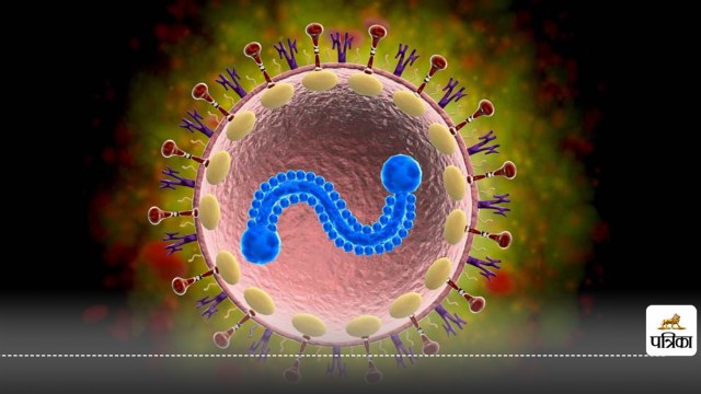 HMPV and RSV Respiratory Infections 