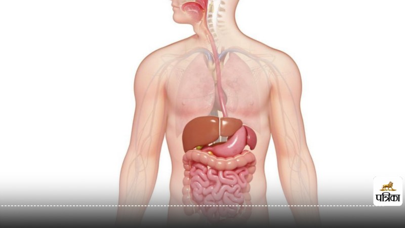 5 signs that your digestive system is not working properly