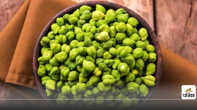 Roasted green chana benefits 