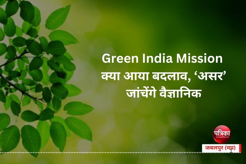 Green India Mission से क्या आया बदलाव, ‘असर’ जांचेंगे वैैज्ञानिक