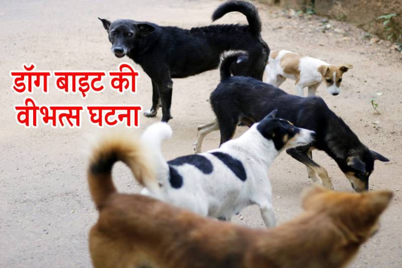 gwalior dog bite