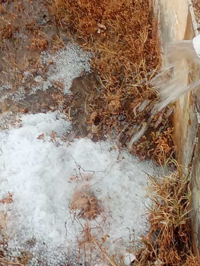 hailstorm in rajasthan