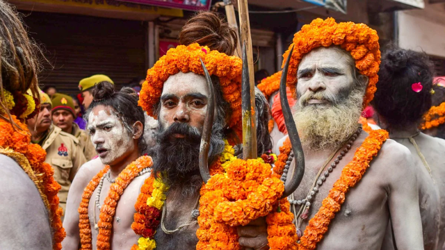 Naga Sadhus at Mahakumbh 2025