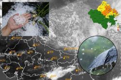 11 जनवरी को ओलों के साथ होगी बारिश, IMD ने राजस्थान के इन 14 जिलों में दे दिया
Yellow-Orange Alert - image