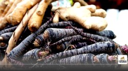 Black carrots के सेवन से पाएं सेहतमंद त्वचा और मजबूत इम्यून सिस्टम - image