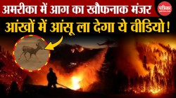 आग का खौफनाक मंज़र, लॉस एंजेलिस में लगी आग ने मचाई तबाही - image