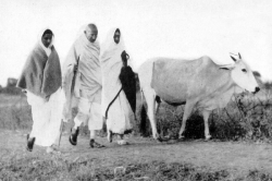 Mahatma Gandhi 4 बार आए थे इस शहर, खाने की जगह मांगा था बकरी का दूध - image