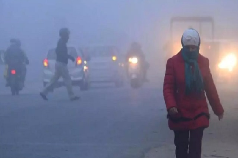 cold wave alert in mp