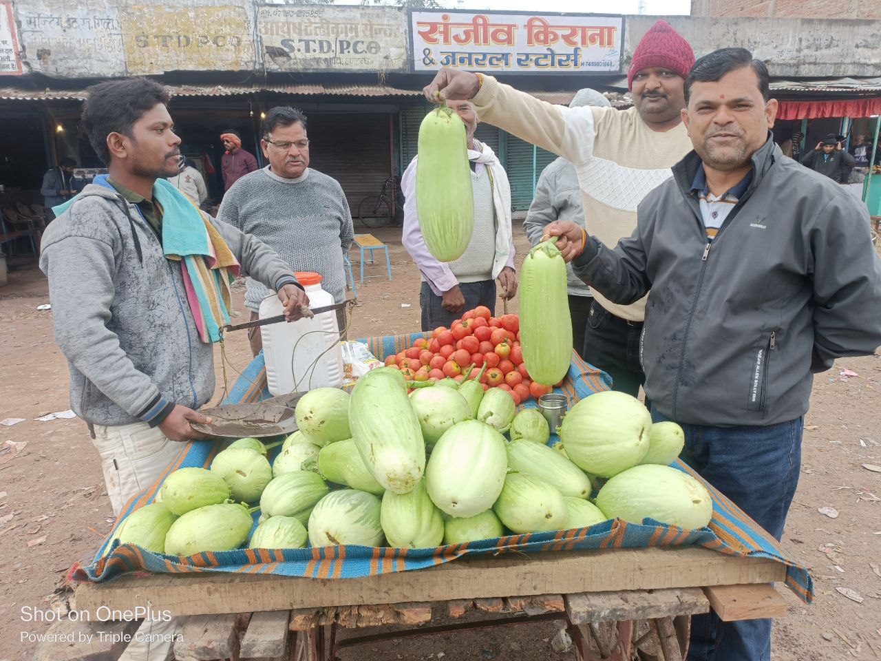 बरमान के बैंगन के स्वाद में लगेगा जीआइ टैग !