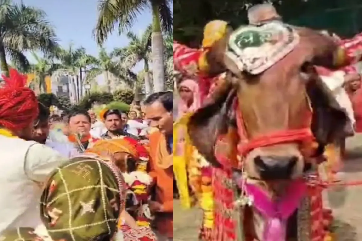 Makar Sankranti