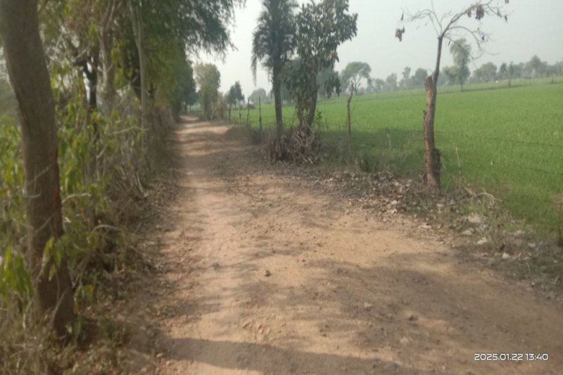 बरीघाट प्लांट तक पहुंची कच्चा रास्ता