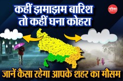 UP IMD Alert: यूपी में कहीं घना कोहरा तो कहीं बारिश के साथ बिजली गिरने की आशंका,
जानें कैसा रहेगा आपके शहर का मौसम  - image