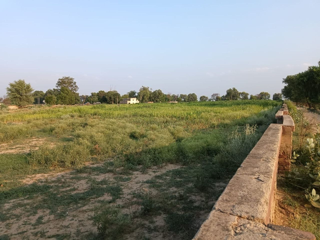 कचरा प्लांट के बजाय मिली सिर्फ चारदीवारी