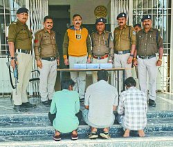 अवैध हथियारों की बड़ी खेप पुलिस ने पकड़ी, तीन आरोपी गिरफ्तार - image