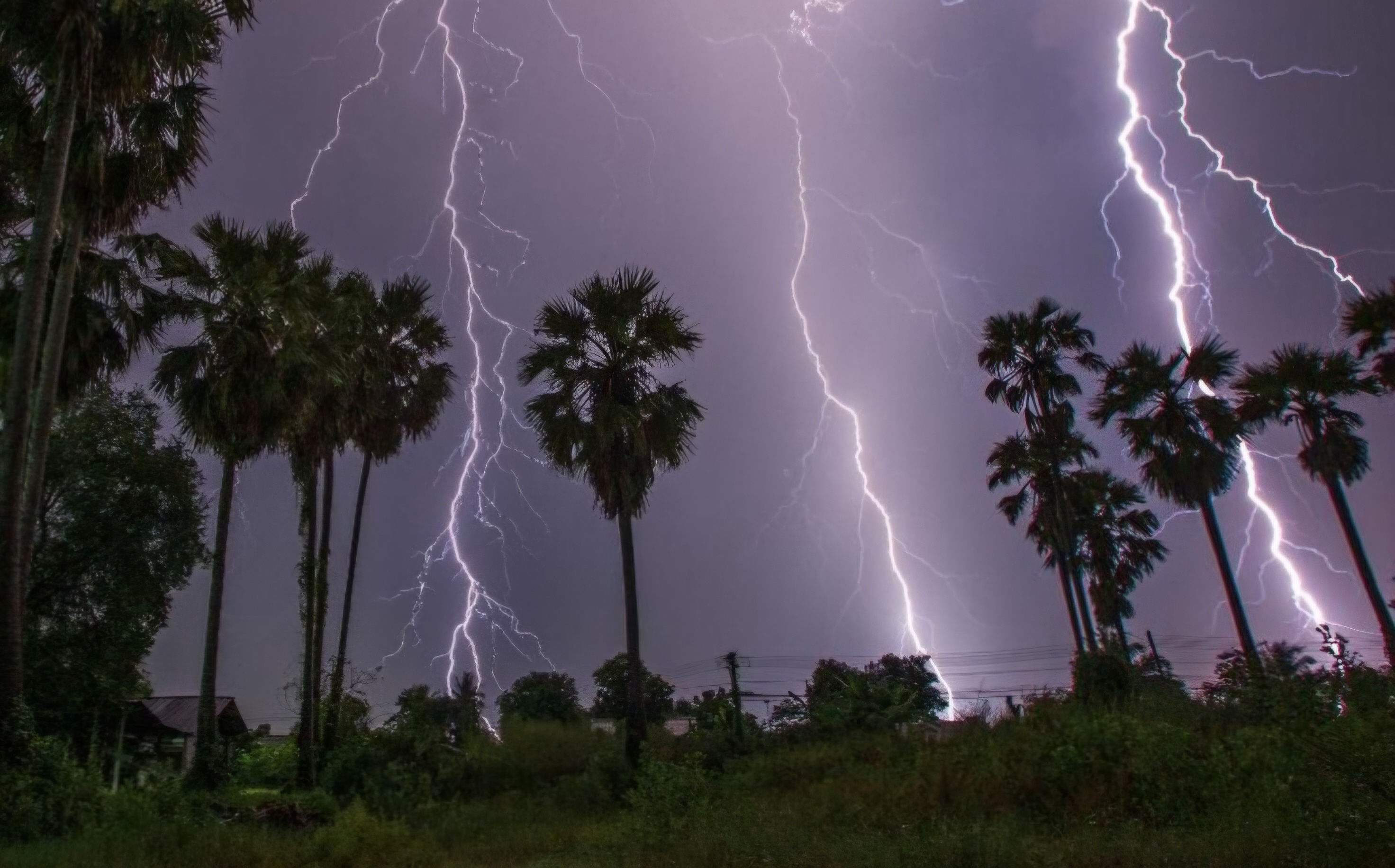 Rain Alert: 20 फरवरी से इन जिलों में झमाझम बारिश का अलर्ट, देखें IMD का लेटेस्ट
अपडेट