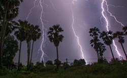 Rain Alert: 20 फरवरी से इन जिलों में झमाझम बारिश का अलर्ट, देखें IMD का लेटेस्ट
अपडेट - image