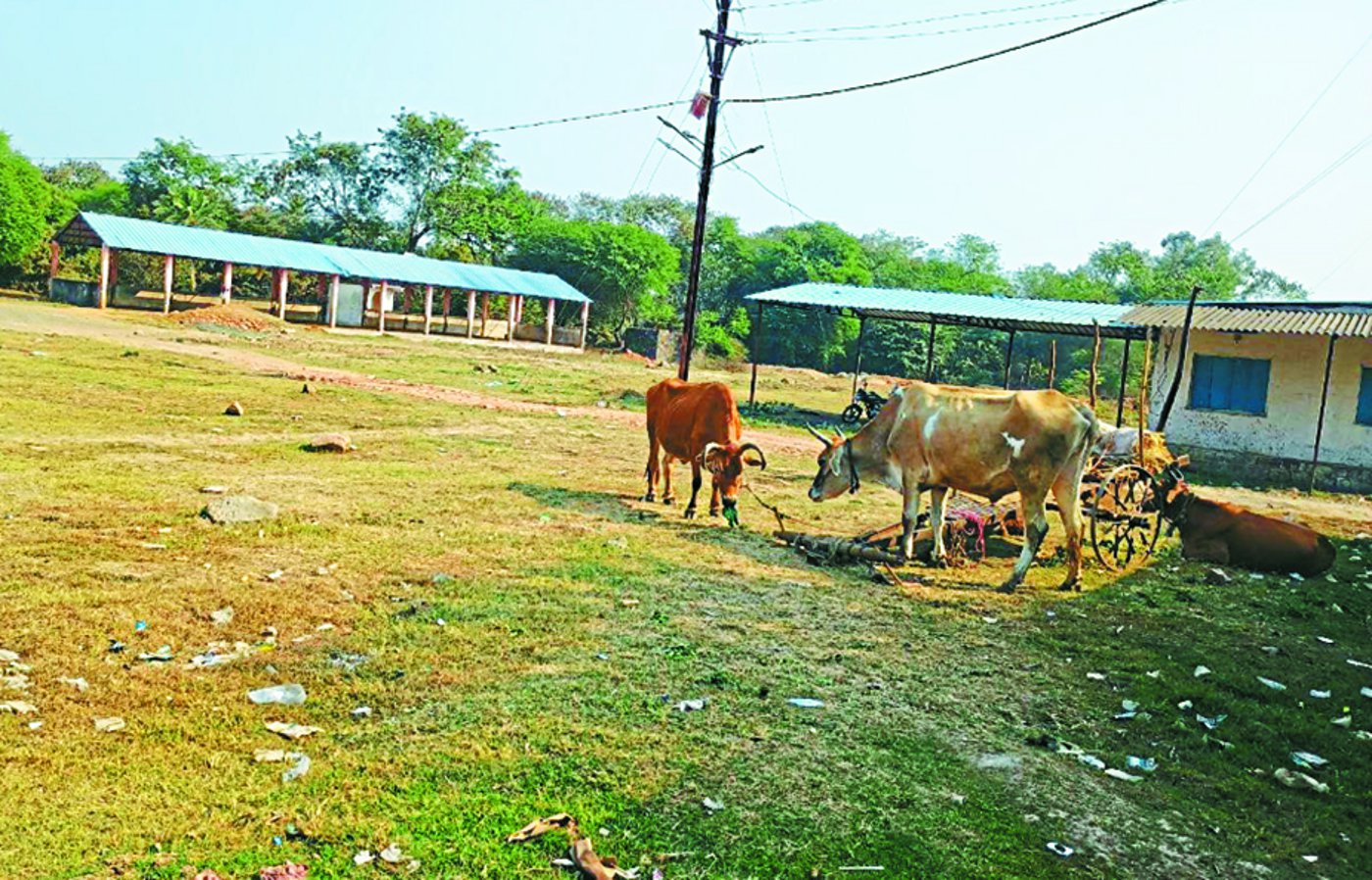 Video: पशुधन की परम्परा पर आधुनिकता हावी, अब नहीं होता बैल बाजार गुलजार