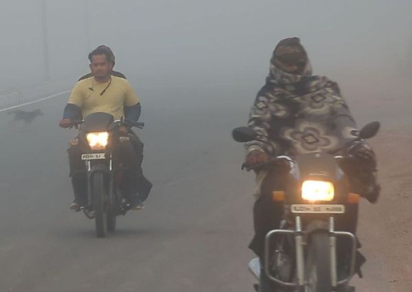 Fog and winter return again in Nagaur