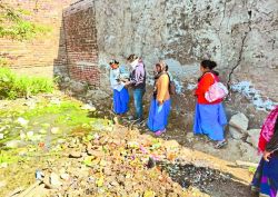 पशुपालकों की सेहत बिगाड़ रहा ‘पिस्सू’, आ गया स्क्रब टायफस - image