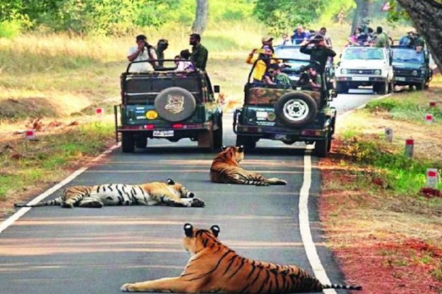  Uttar Pradesh Tourism