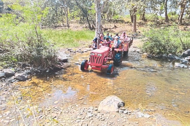 CG Panchayat Elections 2025: वोट डालना ग्रामीणों के लिए चुनौती! मतदान करने एक दिन पहले ट्रैक्टर से सवार होकर मतदान केंद्र पहुंचे मतदाता