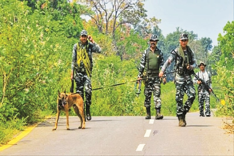 CG Panchayat Election: नक्सलगढ़ में चुनाव, 20 हजार जवान तैनात, 130 केंद्रों में पहली बार हो रही वोटिंग