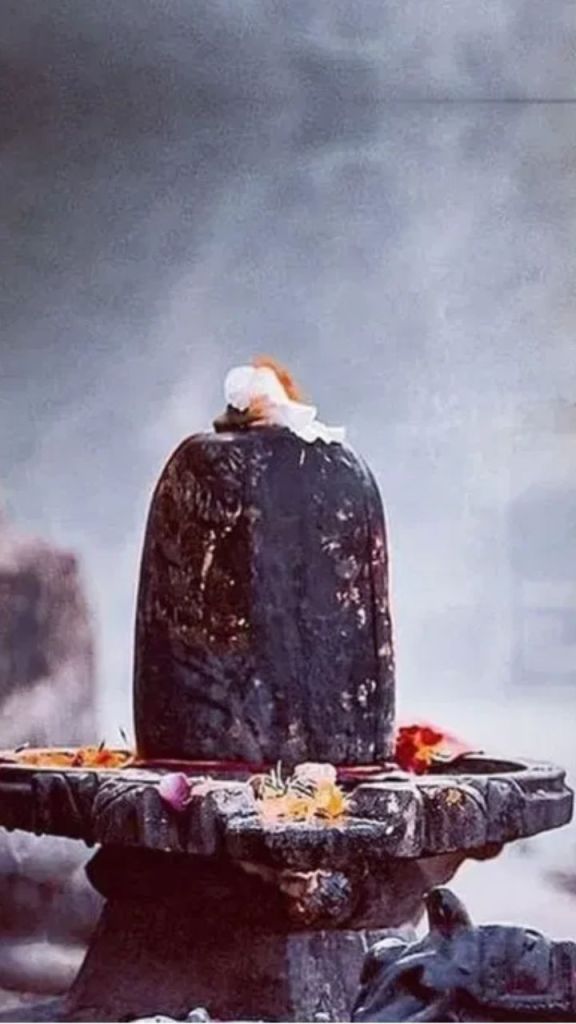महाशिवरात्रि पर रुद्राभिषेक का शुभ संयोग, घर पर कैसे करें भगवान शिव की पूजा, जानें..