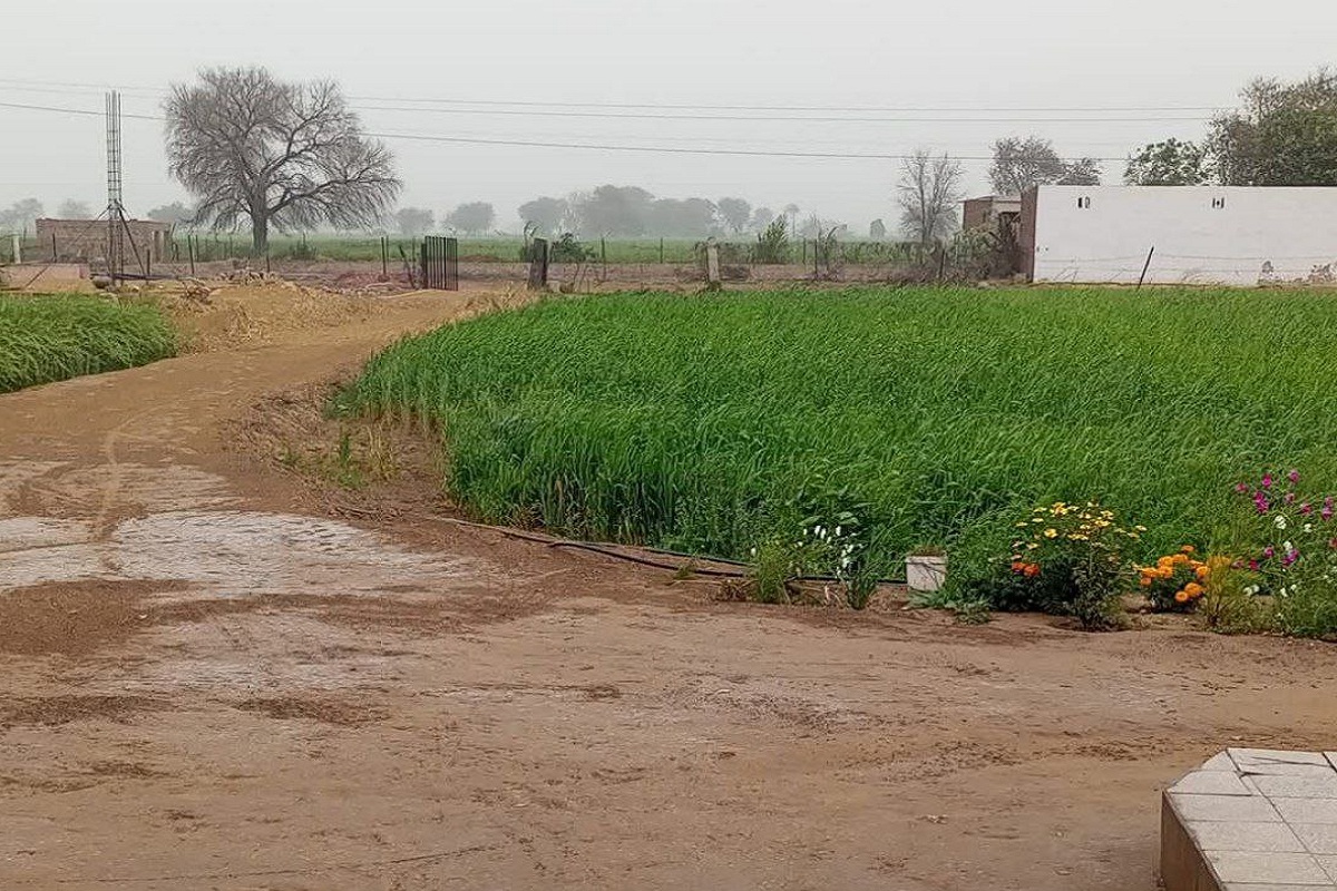 Rajasthan Weather : जयपुर में चल रही ठंडी हवाएं, आज सवेरे धूप खिली, हवाओं से
पारा गिरा