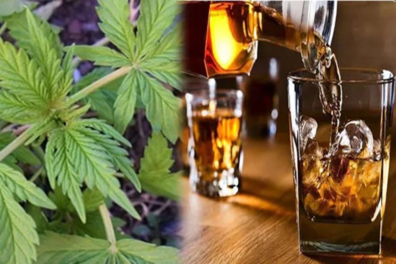 शराब और भांग की दुकानों के आवंटन के लिए ई-लॉटरी प्रक्रिया जारी