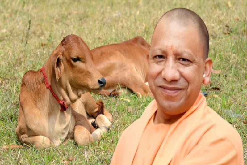 नंदनी कृषक समृद्धि योजना से किसानों को होगा बड़ा लाभ