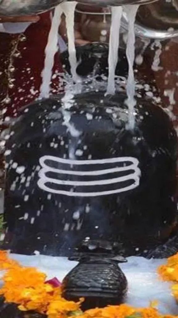 महाशिवरात्रि पर रुद्राभिषेक का शुभ संयोग, घर पर कैसे करें भगवान शिव की पूजा, जानें..