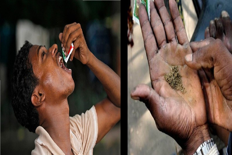 CG News: मेडिकल कॉलेज के कैंसर रीजनल सेंटर की स्टडी में बड़ा खुलासा, तंबाकू-गुटखा से हो रही सबसे ज्यादा मौत