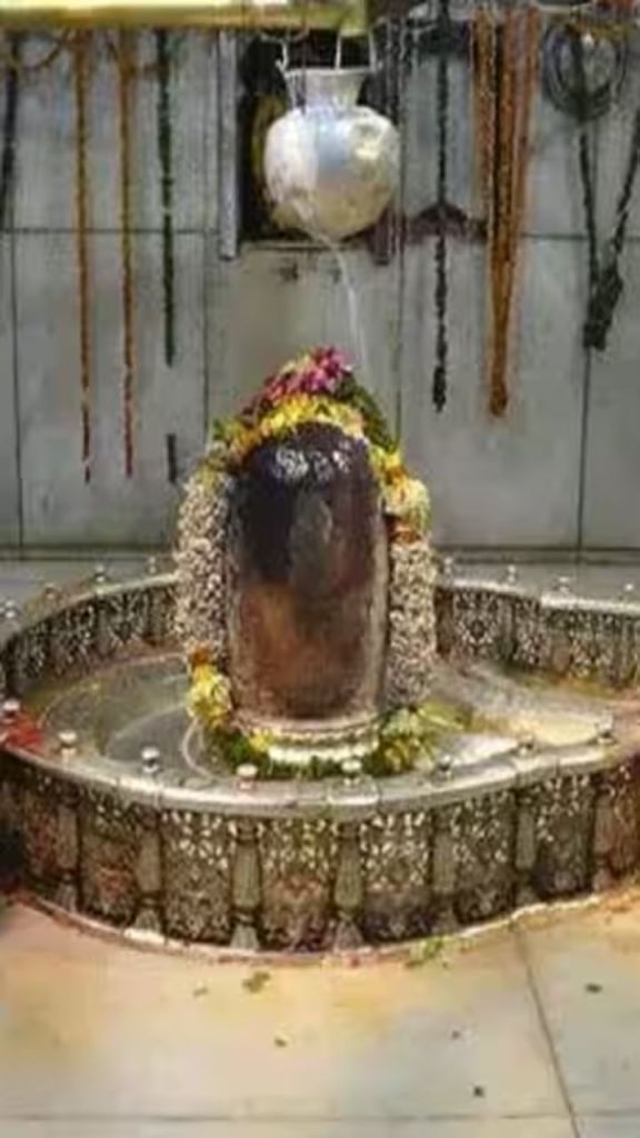 महाशिवरात्रि पर रुद्राभिषेक का शुभ संयोग, घर पर कैसे करें भगवान शिव की पूजा, जानें..