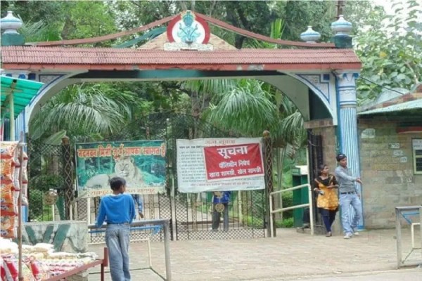 CG News: नंदनवन पक्षी विहार को मिला नया मेहमान, अब सुनाई देगी गोल्डन ब्लू मकाऊ की आवाज, देखें तस्वीरें