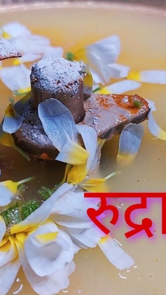 महाशिवरात्रि पर रुद्राभिषेक का शुभ संयोग, घर पर कैसे करें भगवान शिव की पूजा, जानें..
