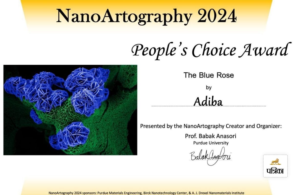 AMU, Adiba, NanoArtography